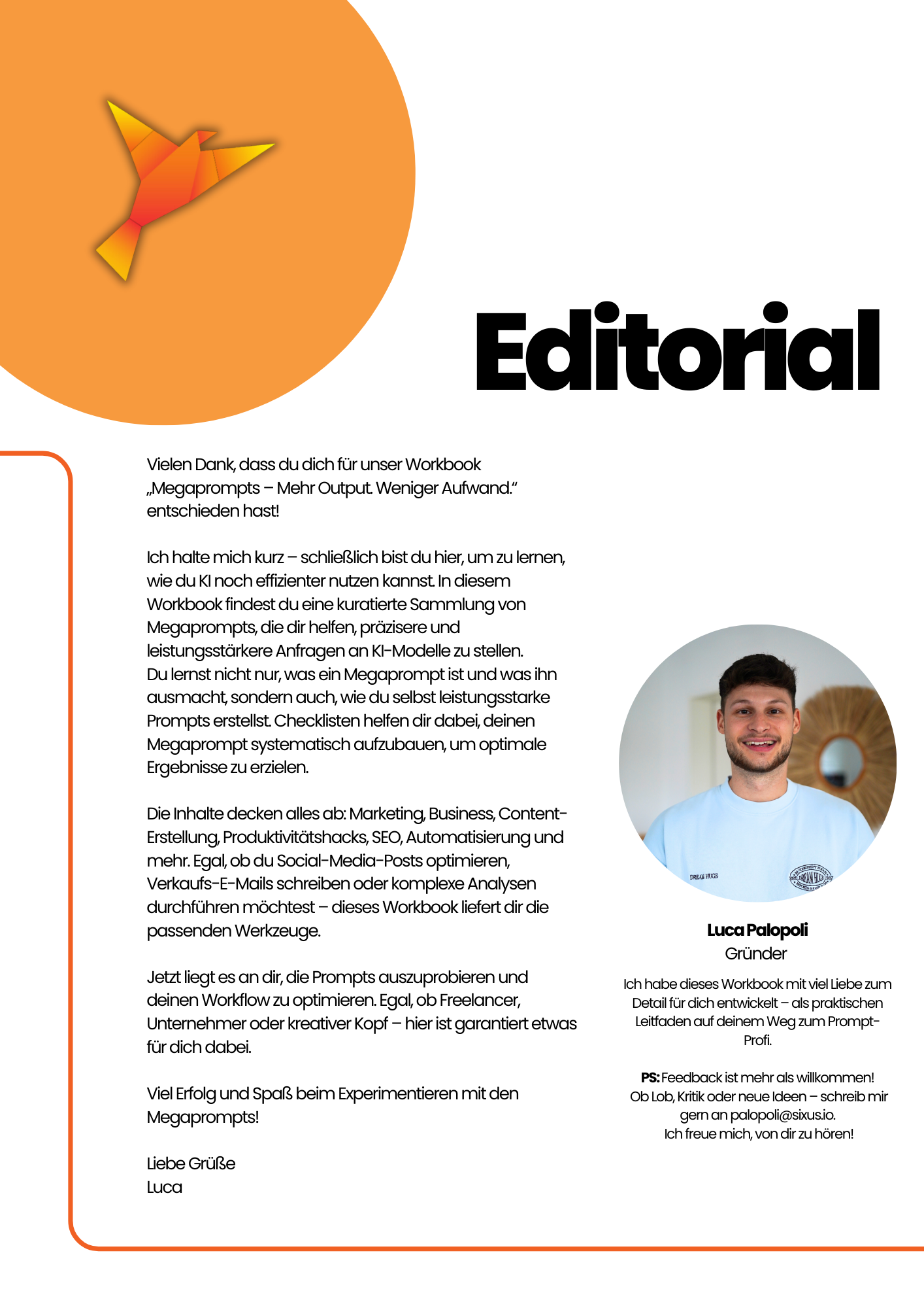 AI Workbook - Megaprompts: Mehr Output. Weniger Aufwand.